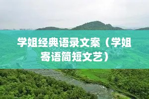 学姐经典语录文案（学姐寄语简短文艺）
