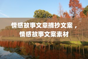 情感故事文章摘抄文案 ，情感故事文案素材