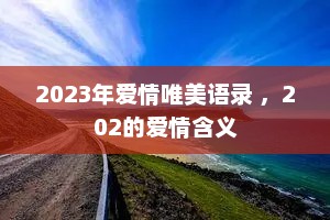 2023年爱情唯美语录 ，202的爱情含义