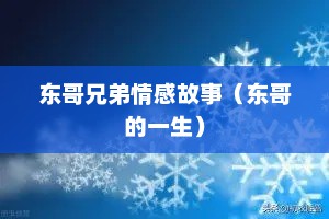 东哥兄弟情感故事（东哥的一生）
