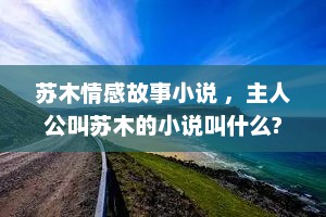 苏木情感故事小说 ，主人公叫苏木的小说叫什么?
