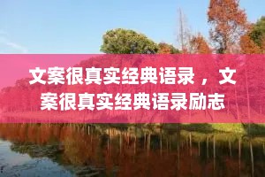 文案很真实经典语录 ，文案很真实经典语录励志