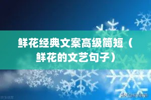 鲜花经典文案高级简短（鲜花的文艺句子）