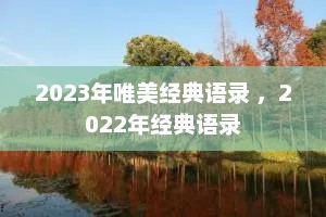 2023年唯美经典语录 ，2022年经典语录