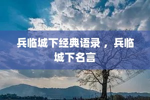 兵临城下经典语录 ，兵临城下名言