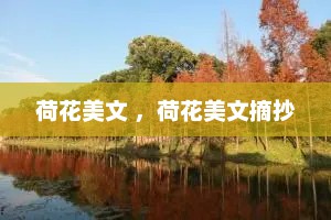 荷花美文 ，荷花美文摘抄