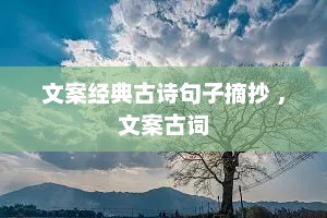 文案经典古诗句子摘抄 ，文案古词