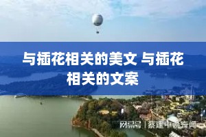 与插花相关的美文 与插花相关的文案