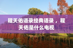 程天佑语录经典语录 ，程天佑是什么电视