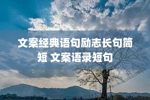 文案经典语句励志长句简短 文案语录短句