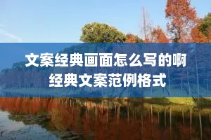 文案经典画面怎么写的啊 经典文案范例格式