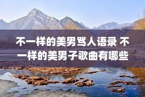不一样的美男骂人语录 不一样的美男子歌曲有哪些