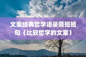 文案经典哲学语录简短短句（比较哲学的文案）