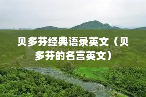 贝多芬经典语录英文（贝多芬的名言英文）
