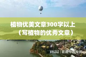 植物优美文章300字以上（写植物的优秀文章）