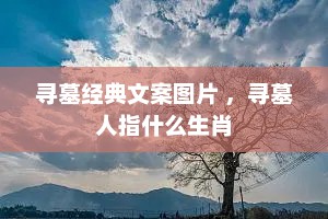 寻墓经典文案图片 ，寻墓人指什么生肖