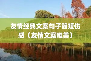 友情经典文案句子简短伤感（友情文案唯美）