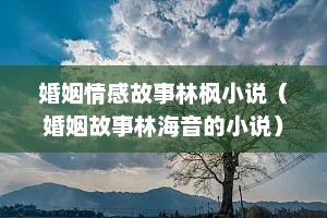 婚姻情感故事林枫小说（婚姻故事林海音的小说）