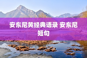 安东尼黄经典语录 安东尼短句