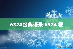6324经典语录 6324 梗
