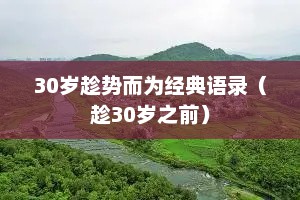 30岁趁势而为经典语录（趁30岁之前）