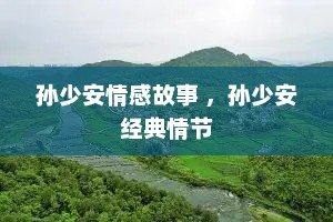孙少安情感故事 ，孙少安经典情节