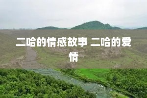 二哈的情感故事 二哈的爱情