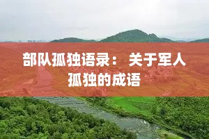 部队孤独语录： 关于军人孤独的成语