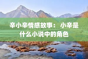 辛小辛情感故事： 小辛是什么小说中的角色