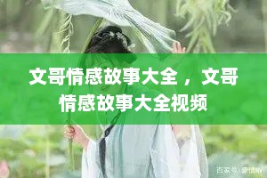 文哥情感故事大全 ，文哥情感故事大全视频
