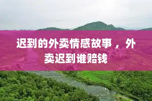 迟到的外卖情感故事 ，外卖迟到谁赔钱