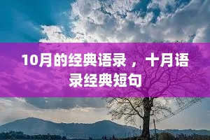 10月的经典语录 ，十月语录经典短句