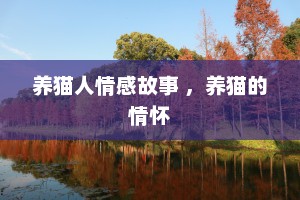 养猫人情感故事 ，养猫的情怀