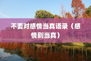 不要对感情当真语录（感情别当真）