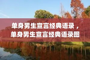 单身男生宣言经典语录 ，单身男生宣言经典语录图片