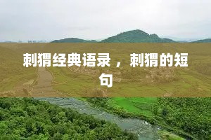 刺猬经典语录 ，刺猬的短句