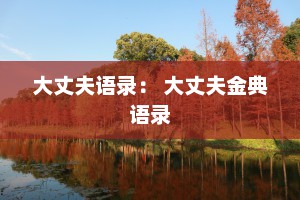 大丈夫语录： 大丈夫金典语录