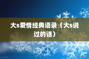 大s爱情经典语录（大s说过的话）