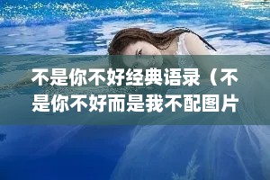 不是你不好经典语录（不是你不好而是我不配图片）
