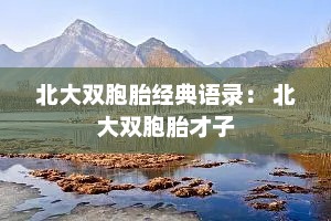 北大双胞胎经典语录： 北大双胞胎才子