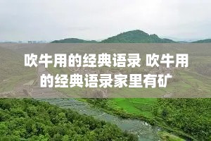 吹牛用的经典语录 吹牛用的经典语录家里有矿