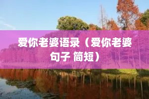 爱你老婆语录（爱你老婆句子 简短）
