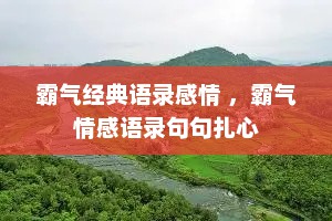 霸气经典语录感情 ，霸气情感语录句句扎心