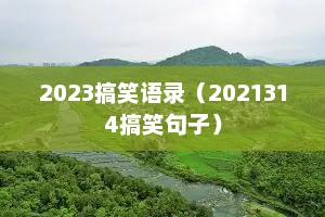 2023搞笑语录（2021314搞笑句子）
