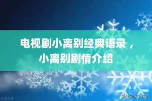 电视剧小离别经典语录 ，小离别剧情介绍