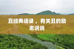 丑经典语录 ，有关丑的励志说说
