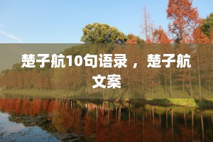 楚子航10句语录 ，楚子航文案