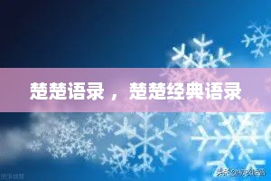 楚楚语录 ，楚楚经典语录