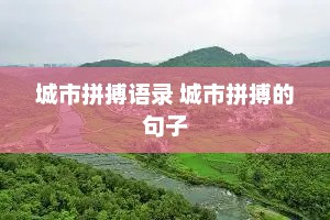 城市拼搏语录 城市拼搏的句子