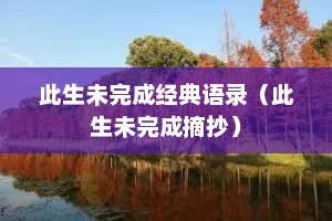 此生未完成经典语录（此生未完成摘抄）